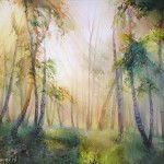 Создание «лесной сказки»