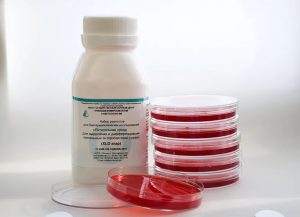 Подробно про готовые питательные среды