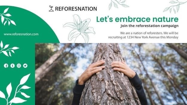 Как поддерживать экологичность полей из натурального дерева