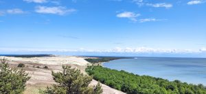 Экскурсии на Куршскую косу из Калининграда: путешествие в мир природы и истории